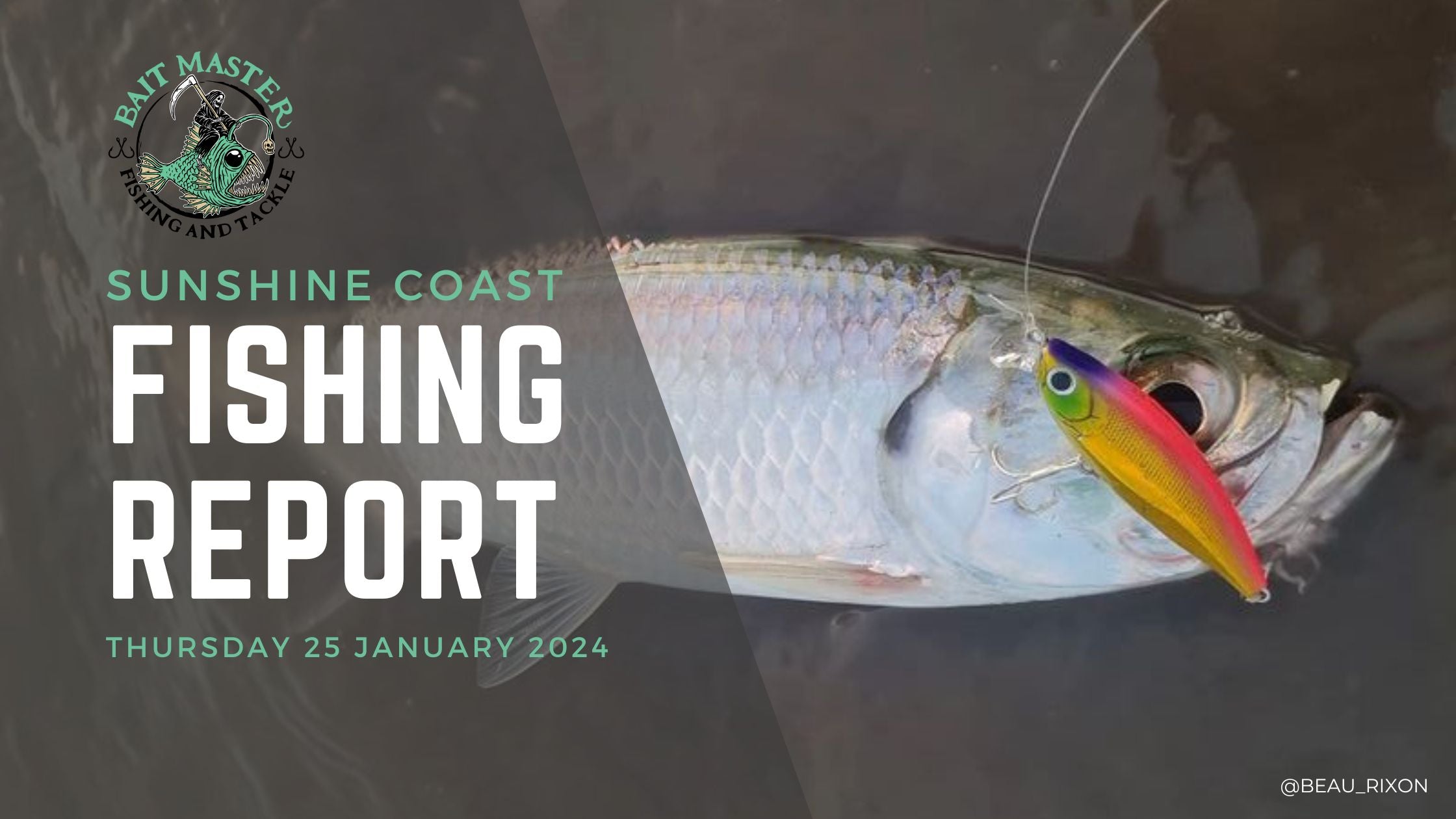 Sunshine Coast Fishing Report | Thursday 25 January 2024 – Bait Master ...