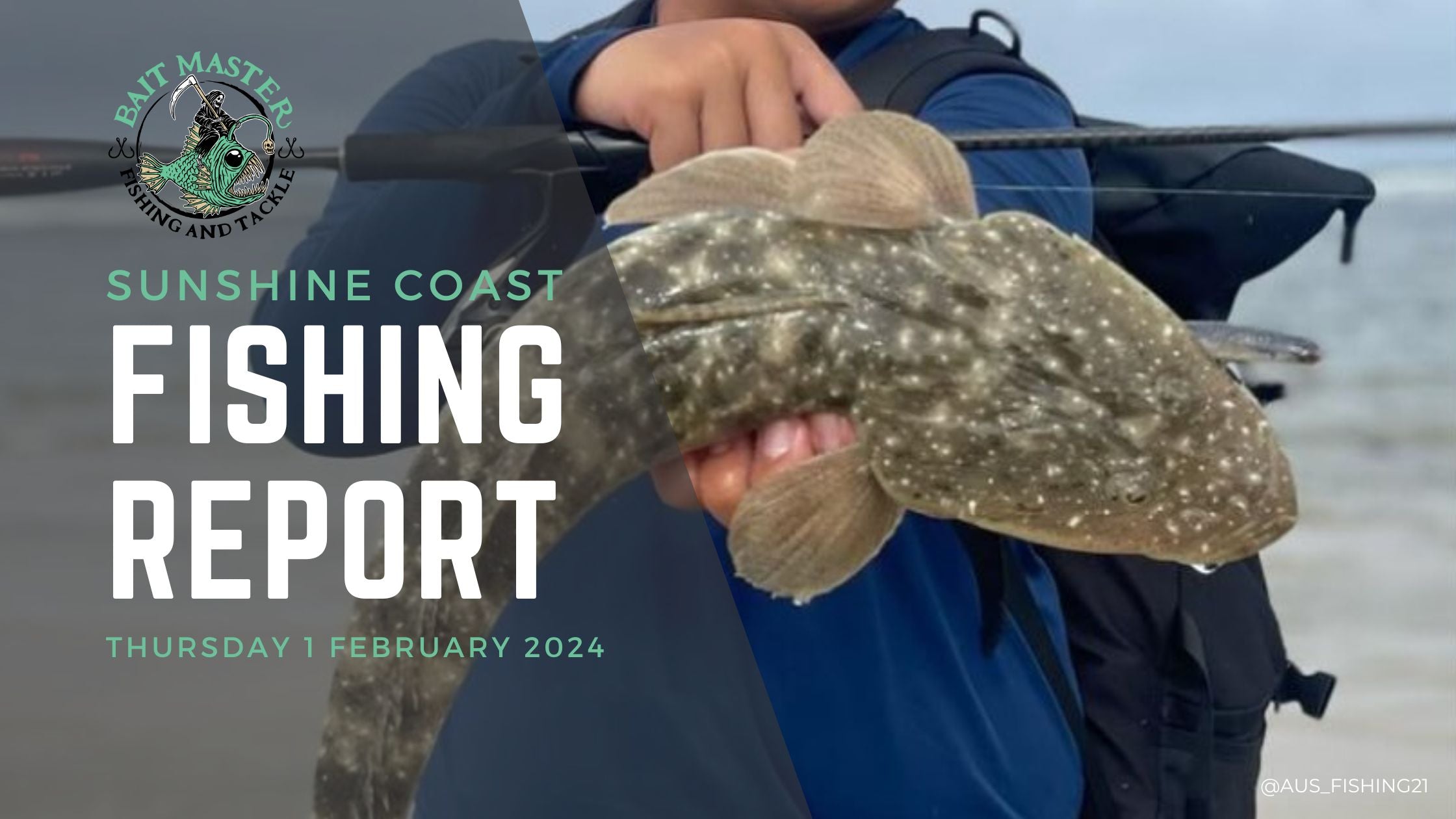 Sunshine Coast Fishing Report | Thursday 1 February 2024 – Bait Master ...