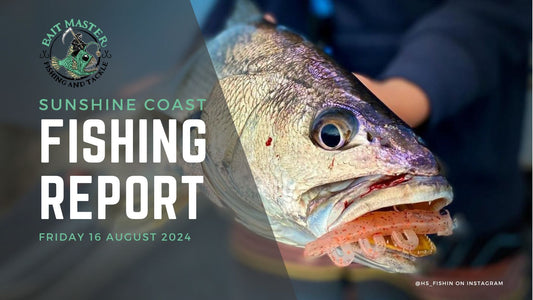 Sunshine Coast Fishing Report 9 August 2024