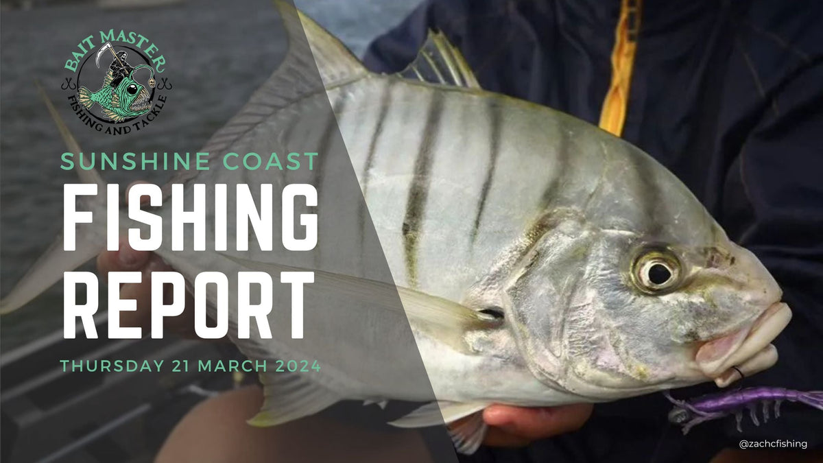 Sunshine Coast Fishing Report | Thursday 21 March 2024 — Bait Master ...