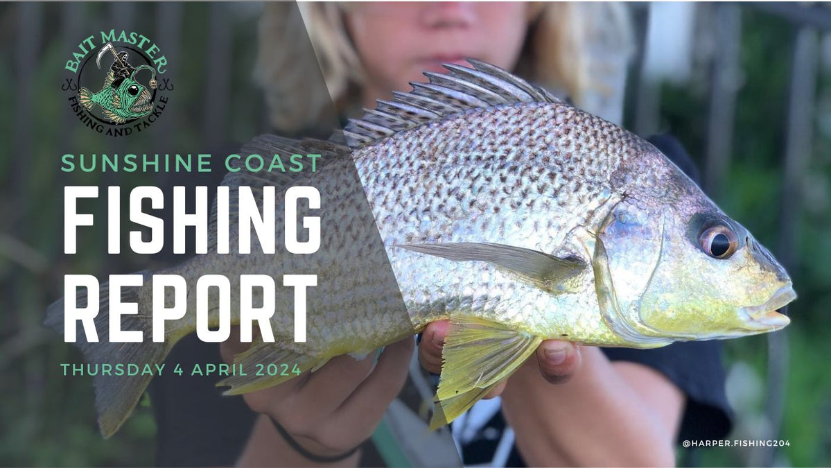 Sunshine Coast Fishing Report | Thursday 4 April 2024 — Bait Master ...