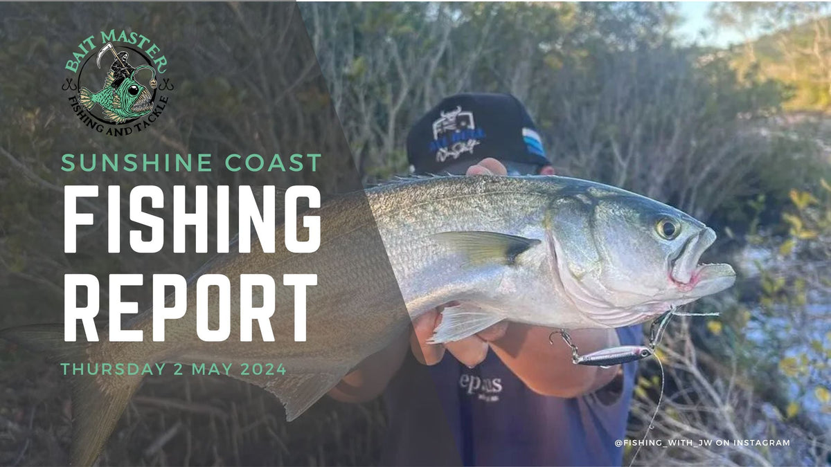 Sunshine Coast Fishing Report 