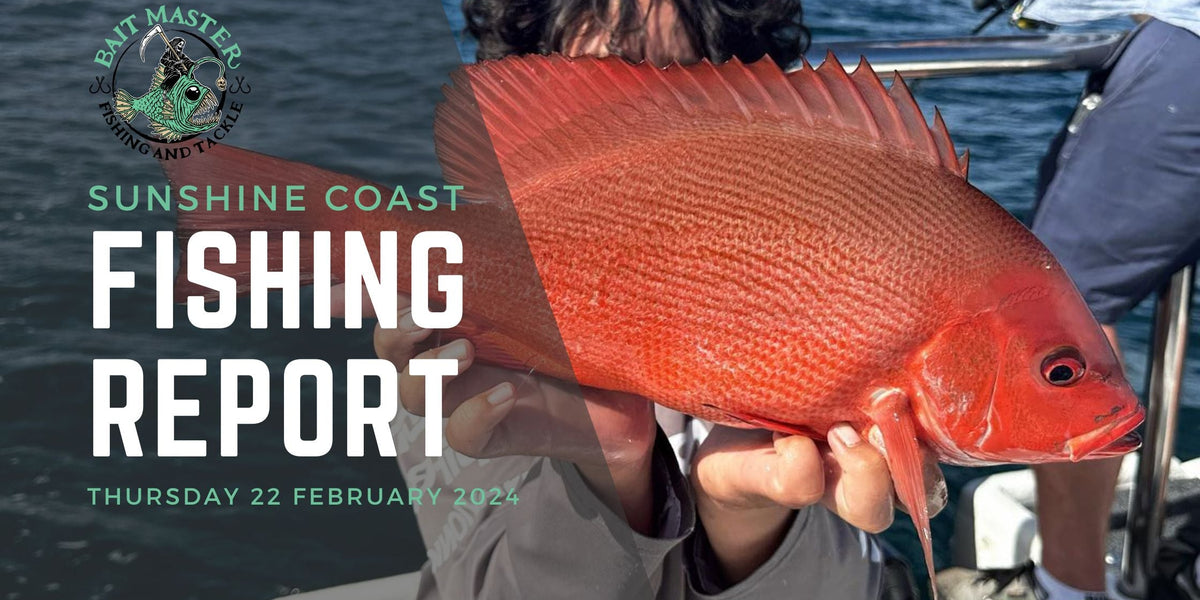 Sunshine Coast Fishing Report | Thursday 22 February 2024 — Bait Master ...