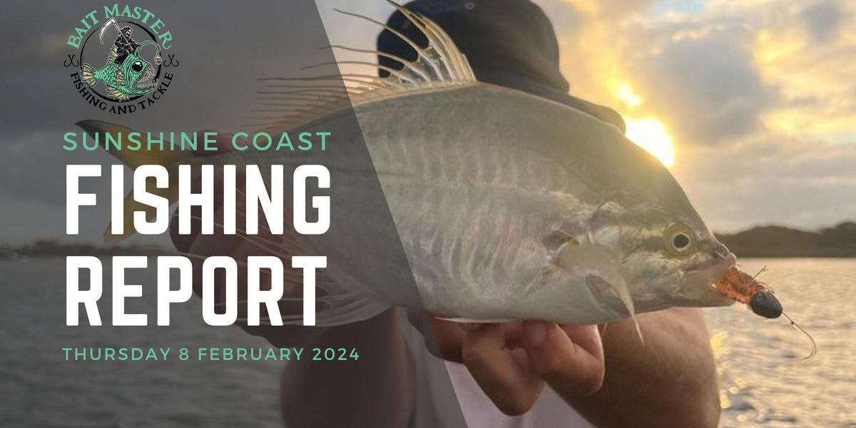 Sunshine Coast Fishing Report | Thursday 8 February 2024 — Bait Master ...