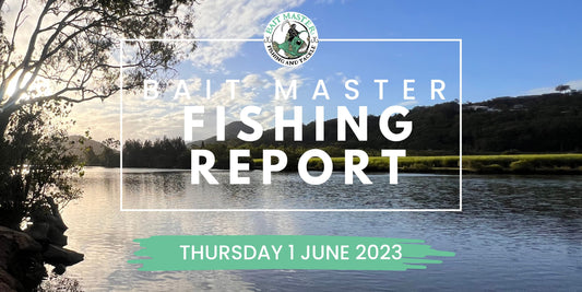 Sunshine Coast Fishing Report | Thursday 1 June 2023