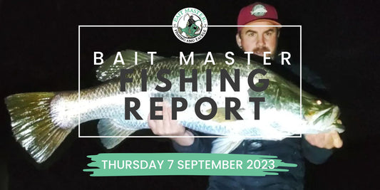 Sunshine Coast Fishing Report | Thursday 7 September 2023