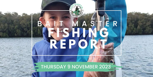 Sunshine Coast Fishing Report Thursday 9 November