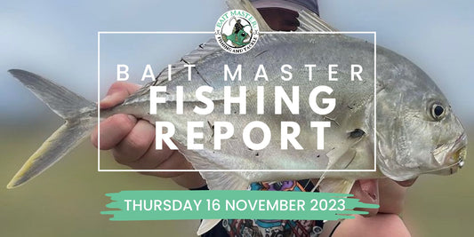 Sunshine Coast Fishing Report Thursday 16 November