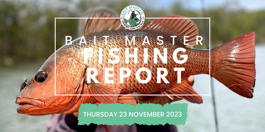 Sunshine Coast Fishing Report Thursday 16 November