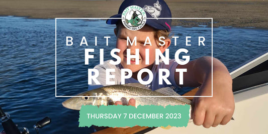 Sunshine Coast Fishing Report Thursday 7 November