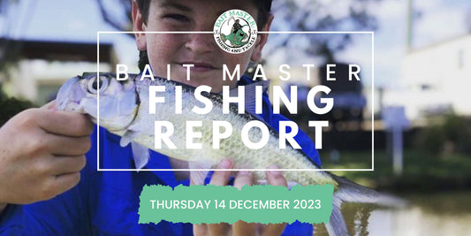 Sunshine Coast Fishing Report Thursday 14 December 2023