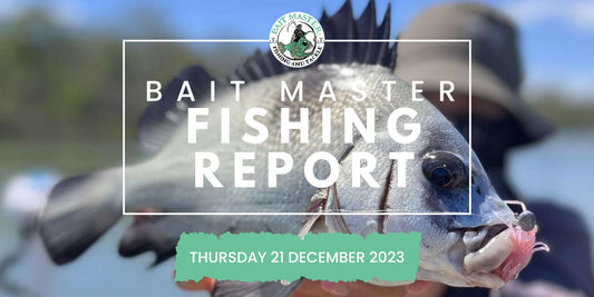 Sunshine Coast Fishing Report Thursday 14 December 2023