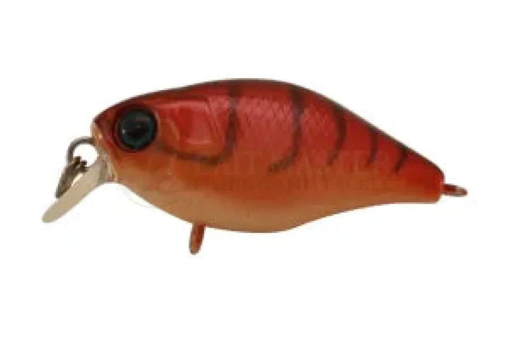 Jackall Chubby 38 Shallow Floating Fishing Lure