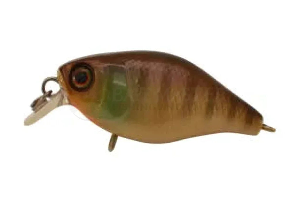 Jackall Chubby 38 Shallow Floating Fishing Lure