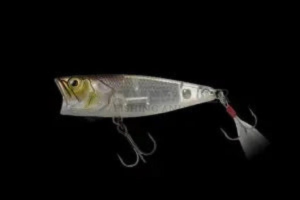 Jackall SK Pop Grande Popper Fishing Lure