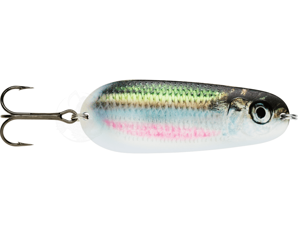 Rapala Nauvo Spoon 19g 66m Lure