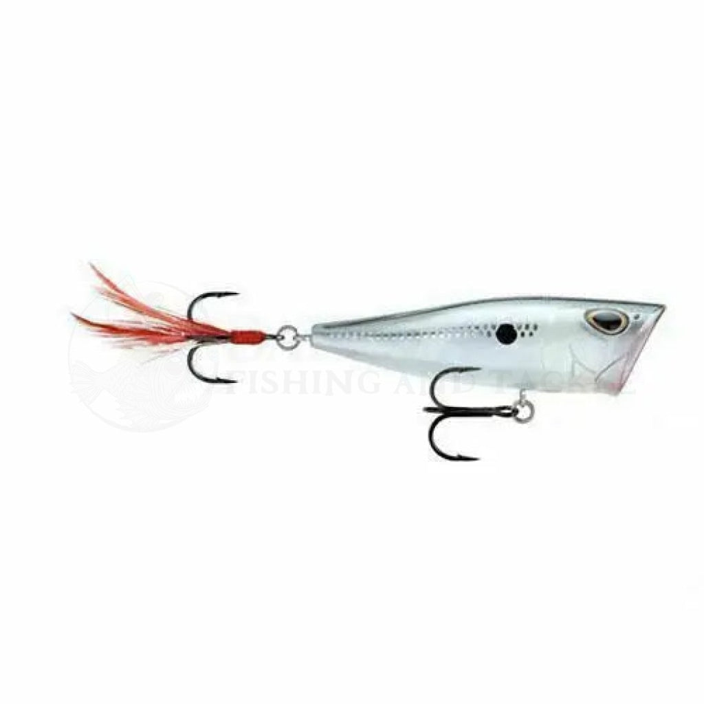 Storm Arashi Rattling Cover Pop Fishing Lure SALE