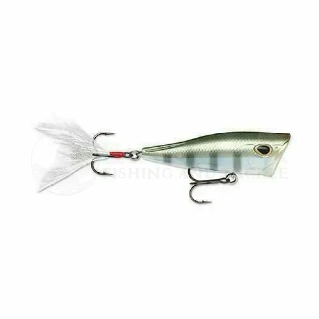 Storm Arashi Rattling Cover Pop Fishing Lure SALE