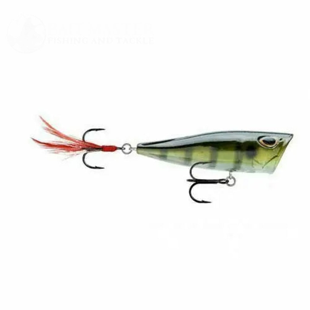 Storm Arashi Rattling Cover Pop Fishing Lure SALE